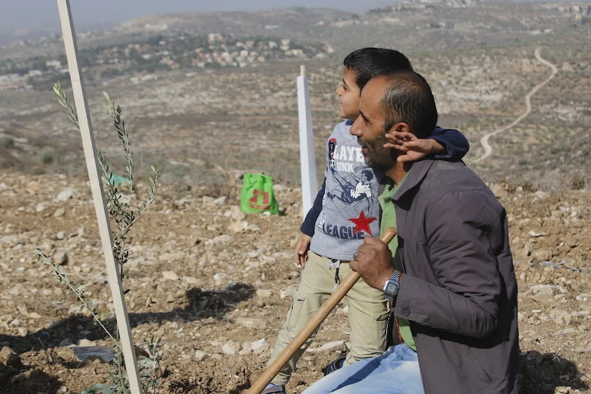 Combating Land Confiscation: Plant een Olijfboom's Mission for Justice